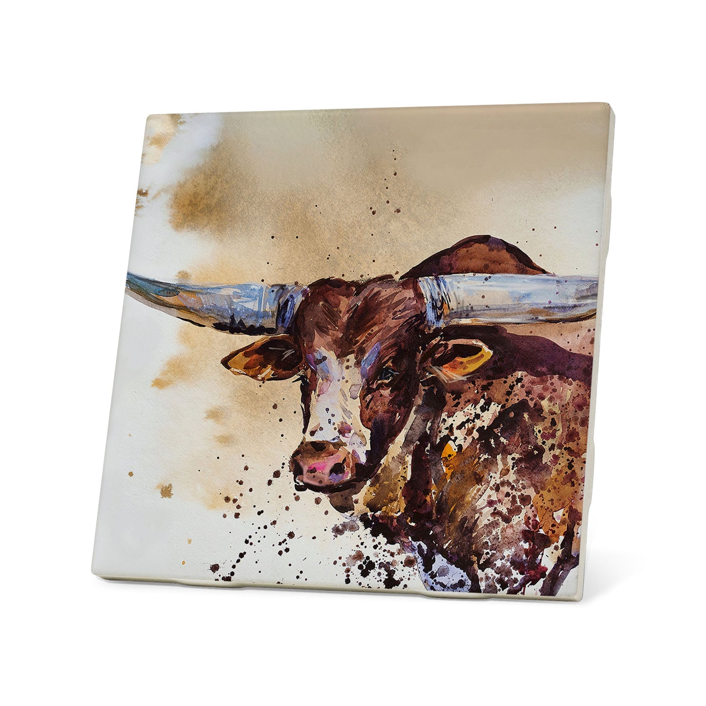 Watusi Bull Coaster