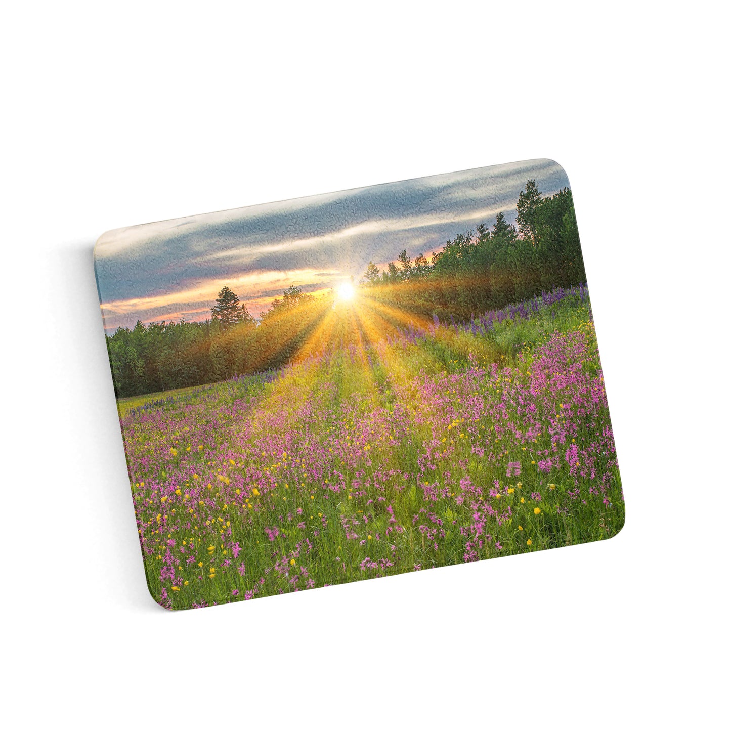Wildflower Sunburst Cutting Board by Chris Whiton