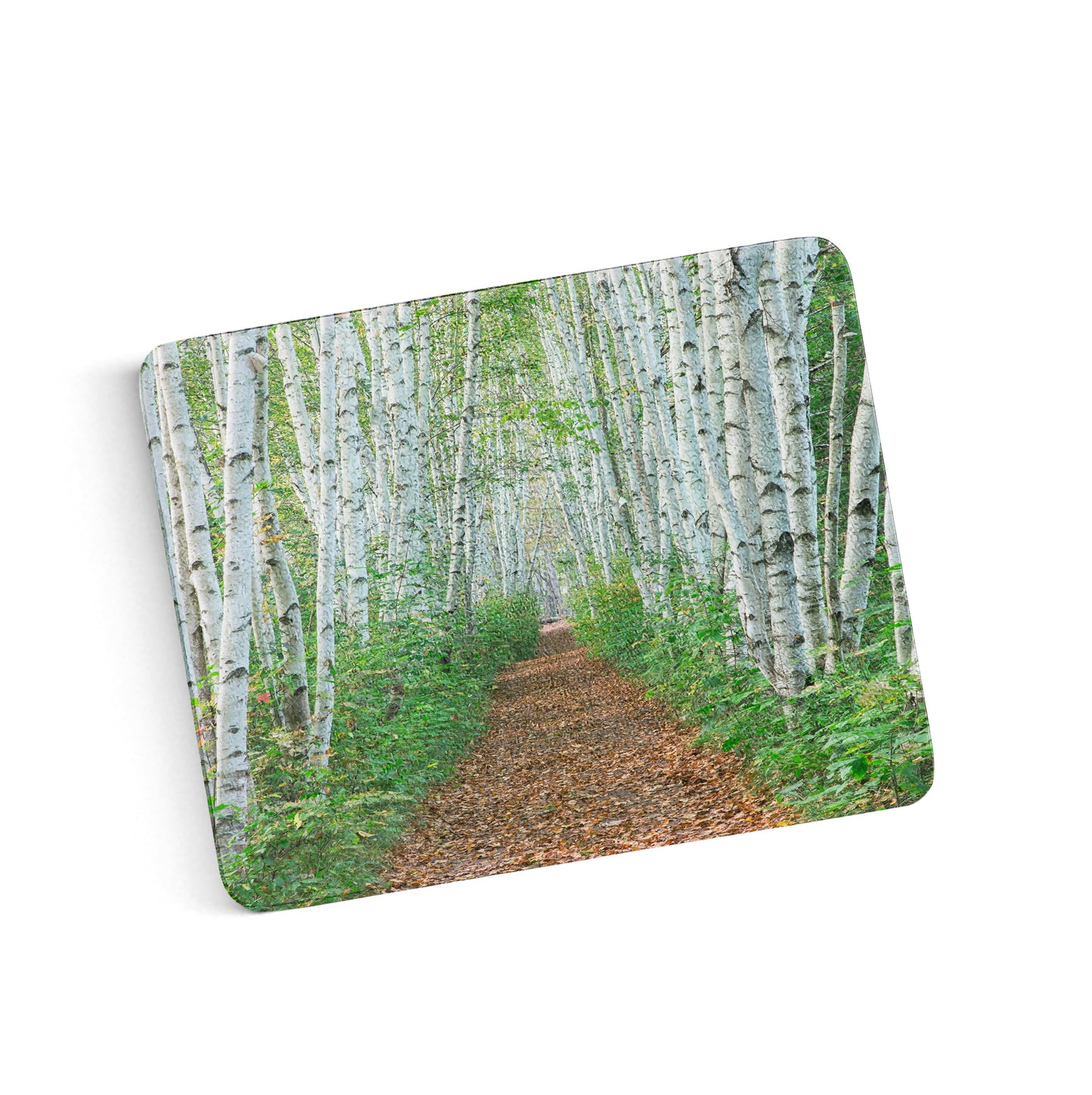 Birch Path Cutting Board by Chris Whiton