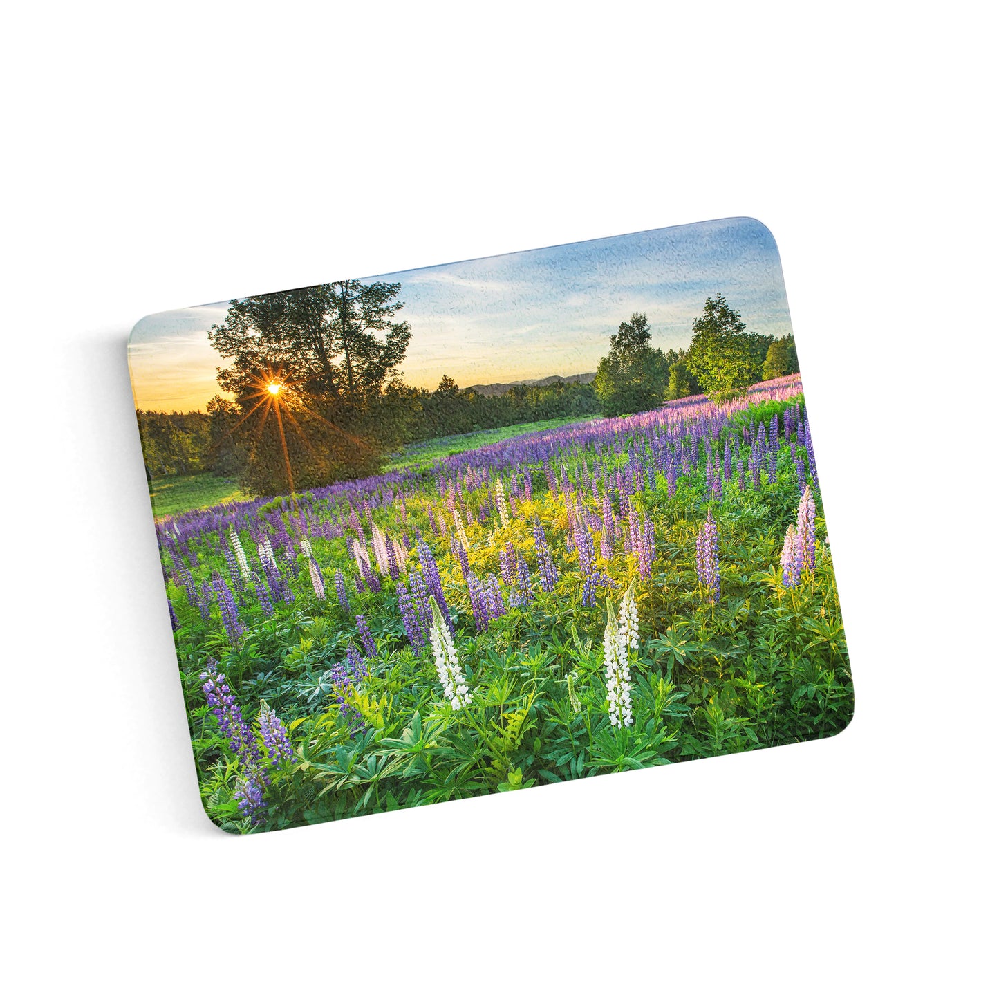 Lupine Field at Sunset Cutting Board by Chris Whiton