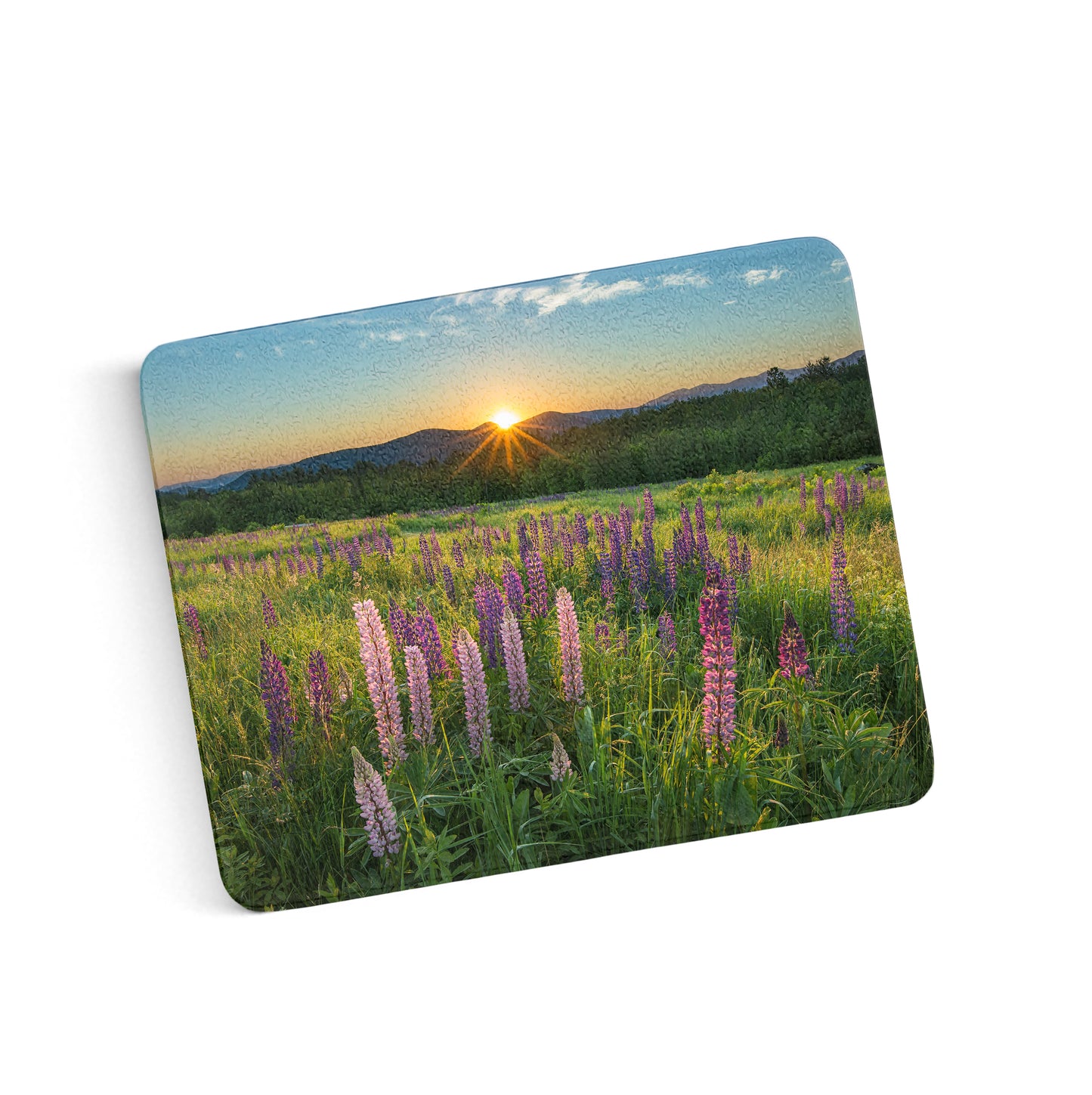 Lupine Sunrise Cutting Board by Chris Whiton