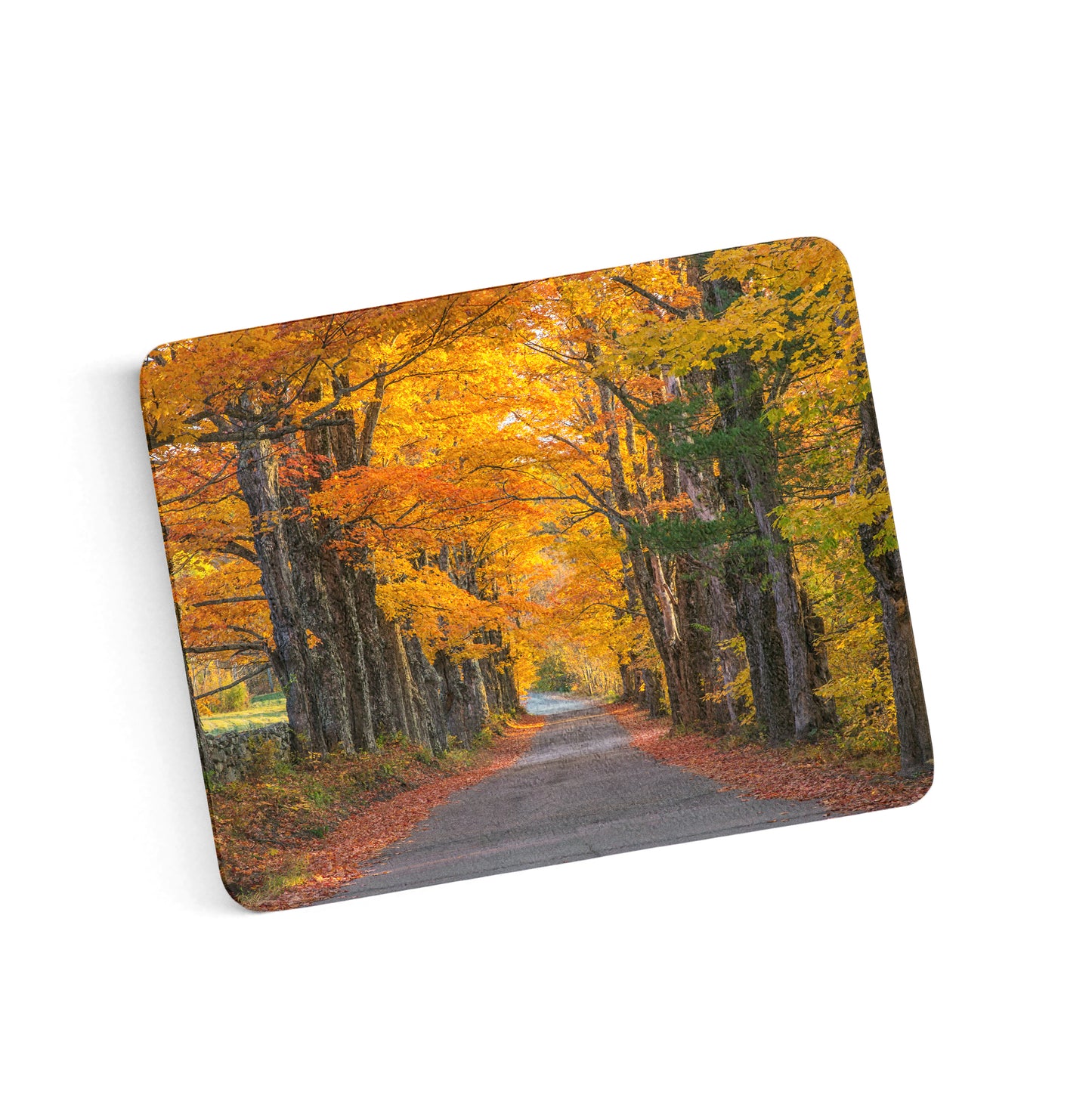 Sugar Hill Autumn Maple Road Cutting Board by Chris Whiton