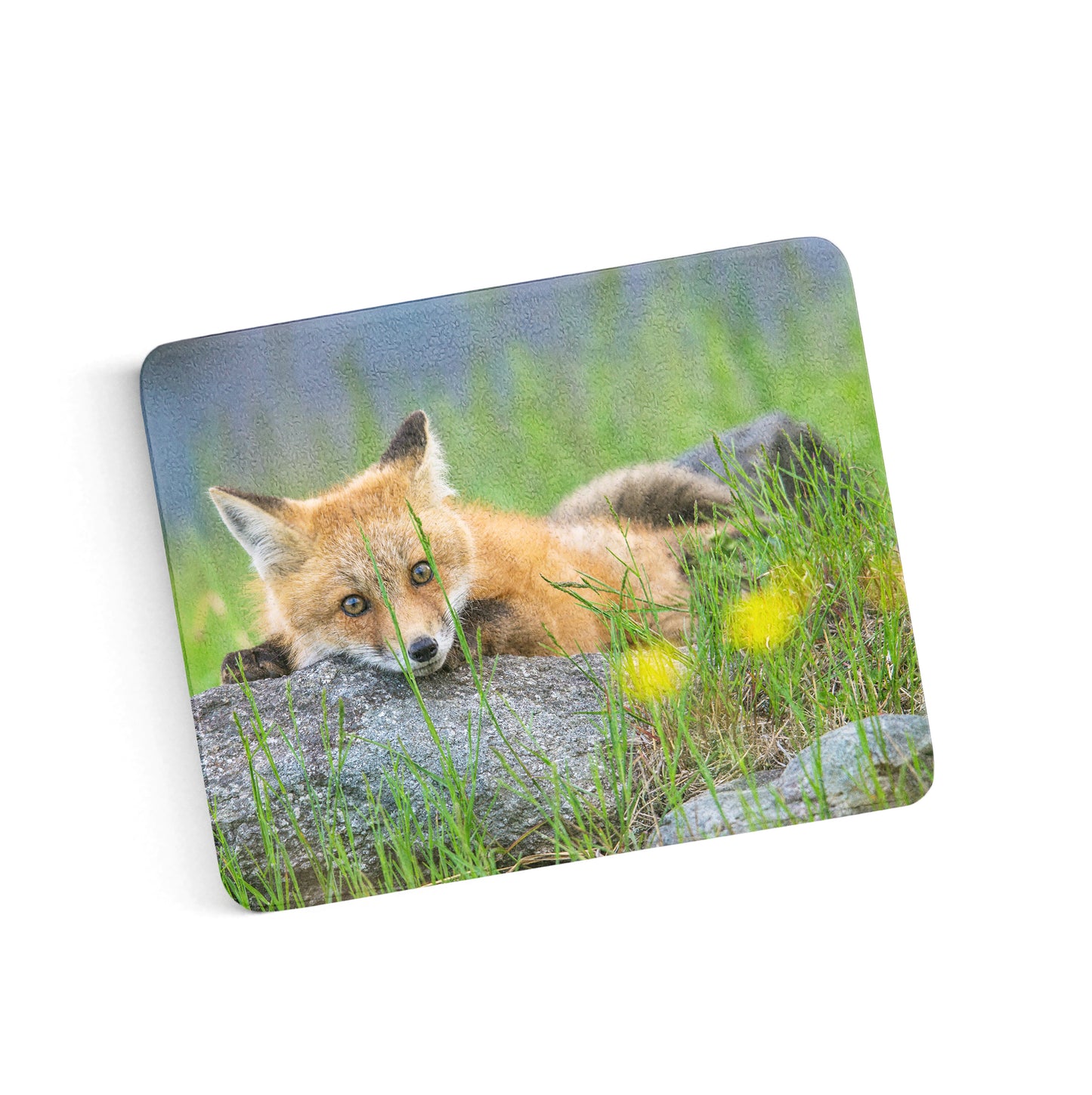 Sugar Hill Fox Resting Cutting Board by Chris Whiton