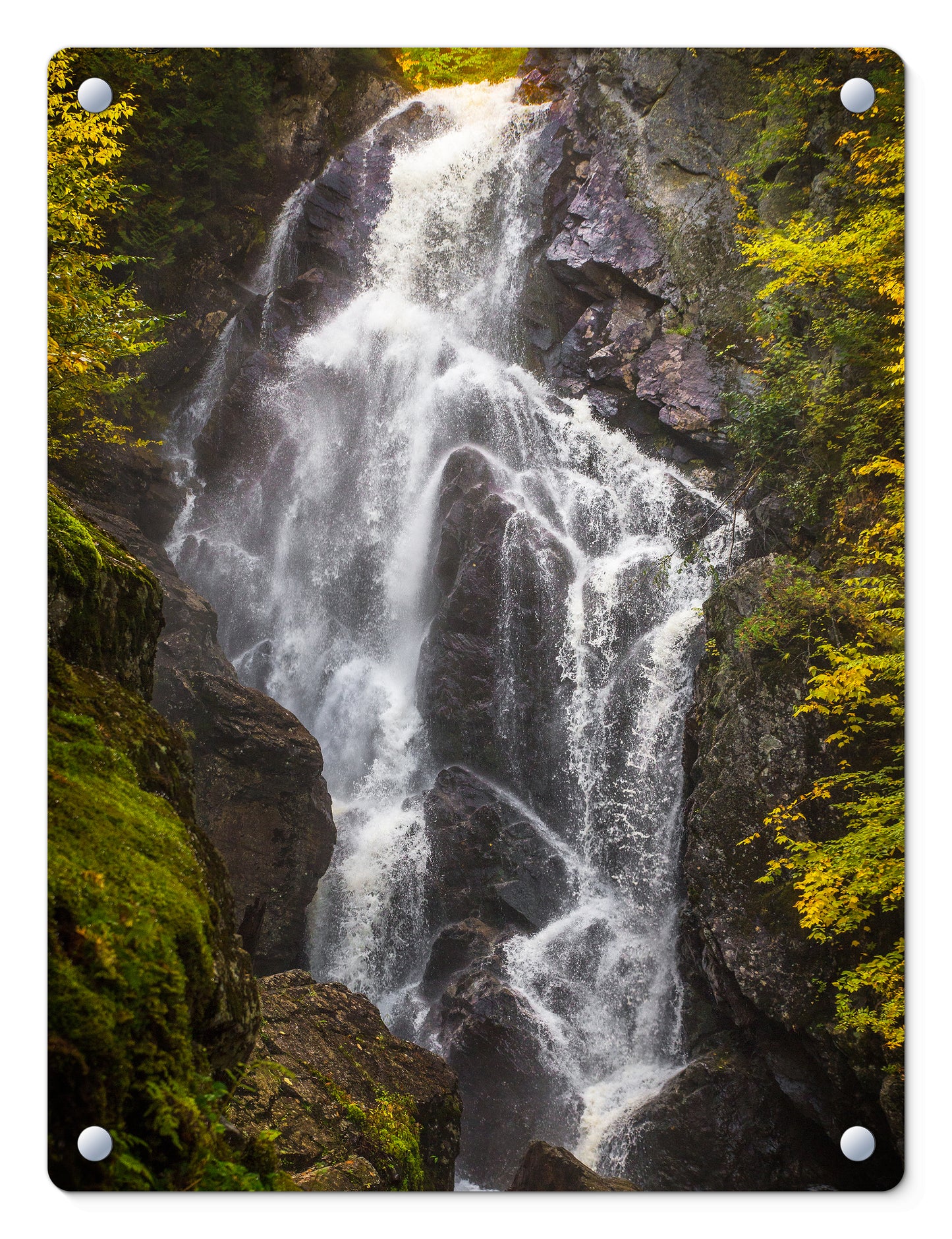 Roaring Angel Falls Glass Panel by Chris Whiton