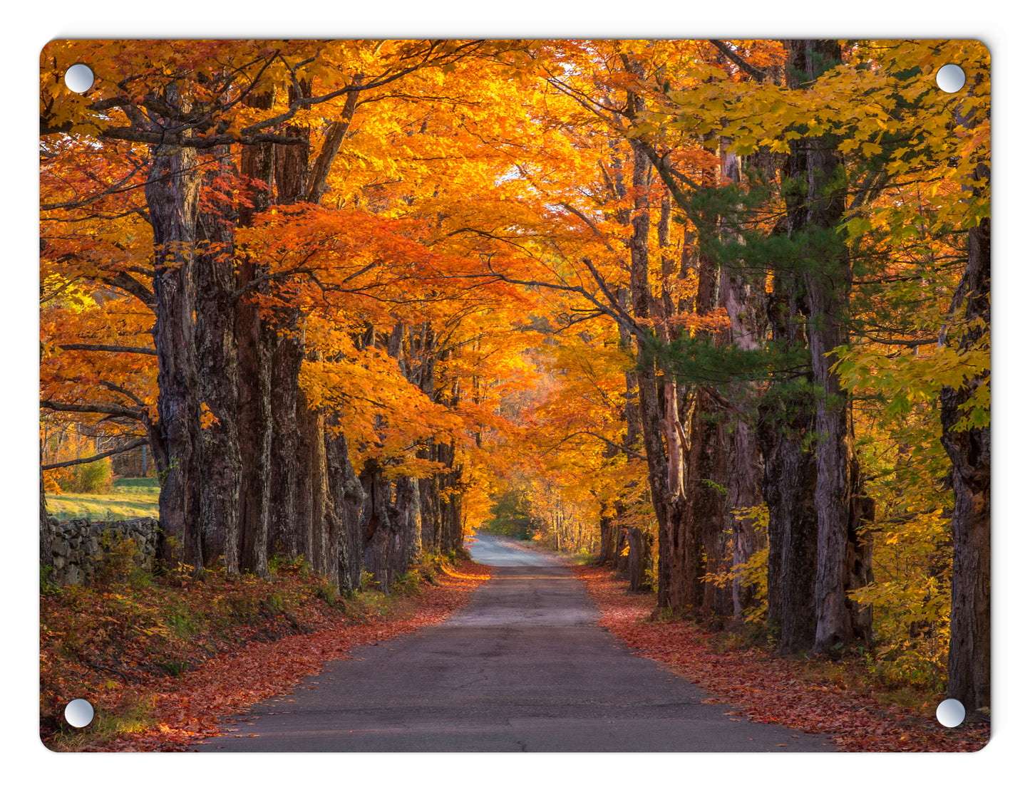 Sugar Hill Autumn Maple Road Glass Panel by Chris Whiton