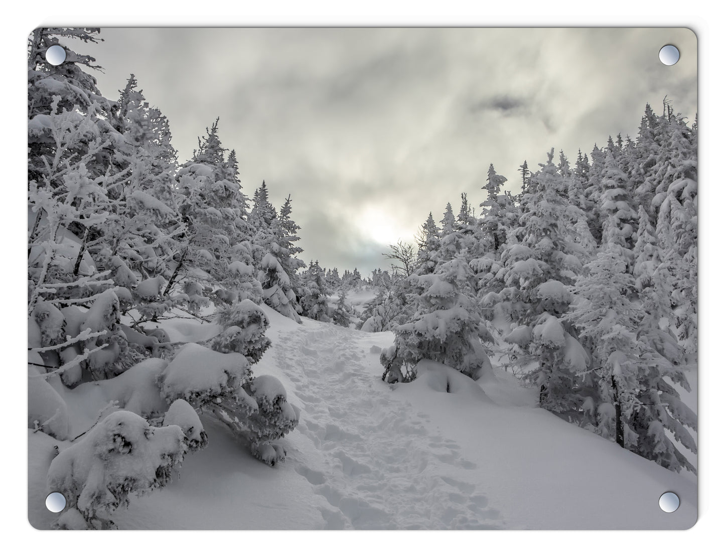 Winter on the Ammo Trail Glass Panel by Chris Whiton