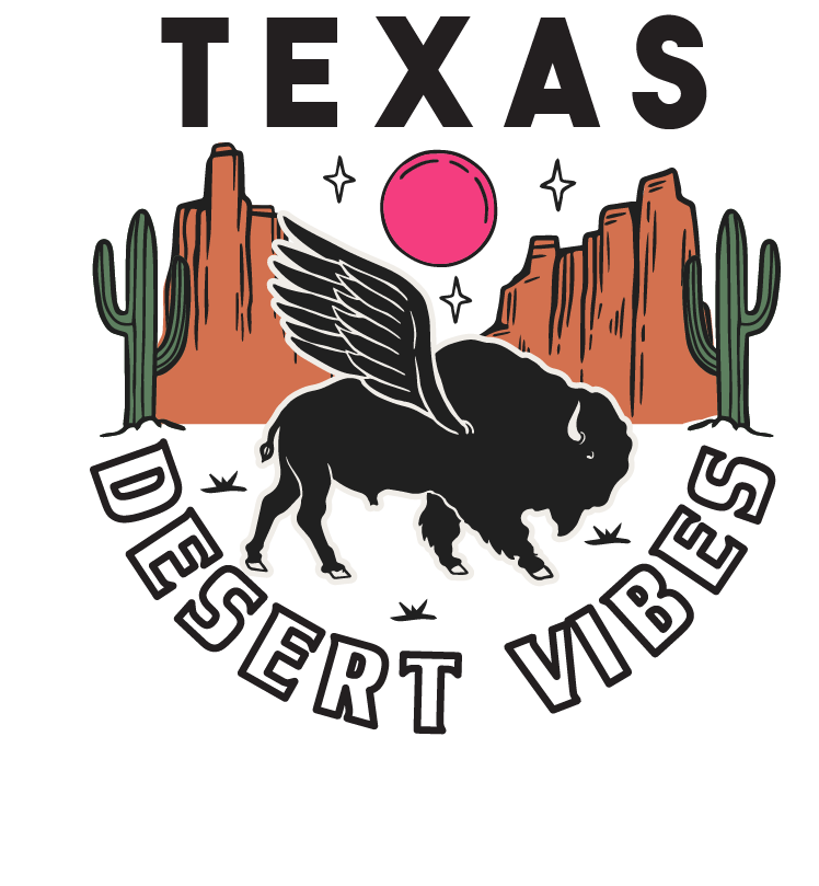 Desert Vibes Buffalo Coaster