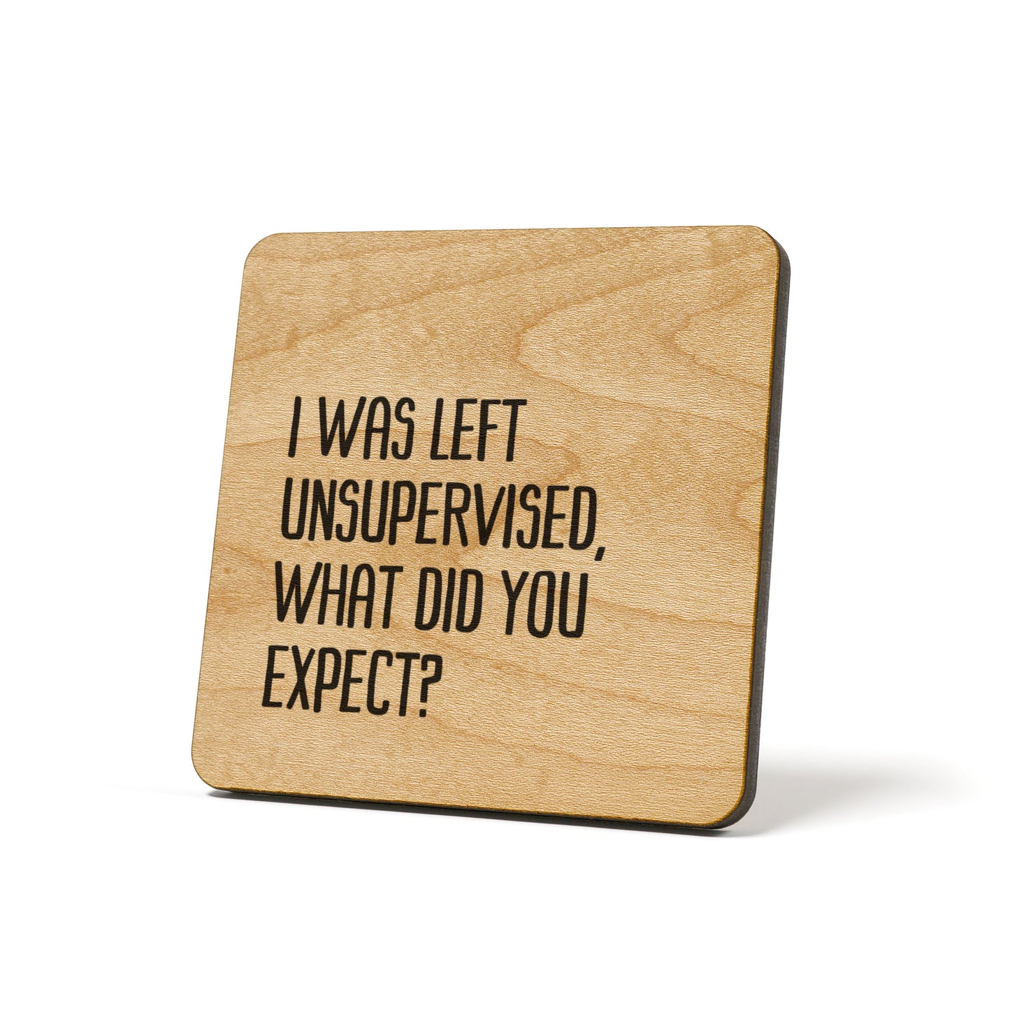 I was left unsupervised, what did you expect? Quote Coaster