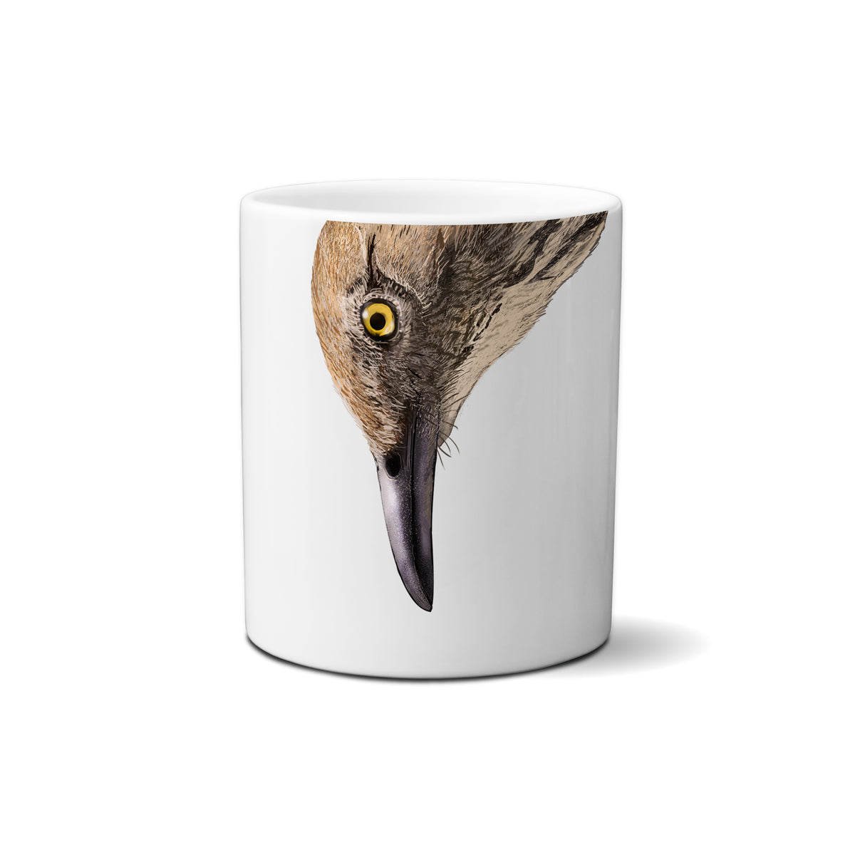 Brown Thrasher by Snout Mugs®