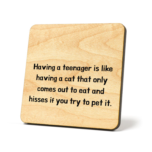 Having a Teen is Like a Cat Quote Coaster