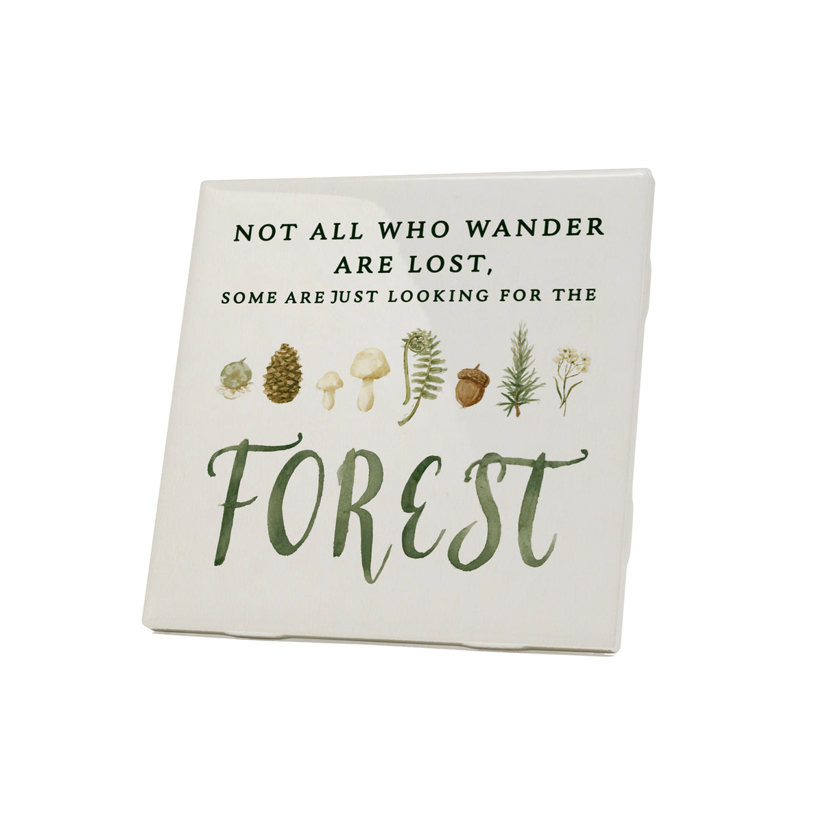 Looking For The Forest Coaster