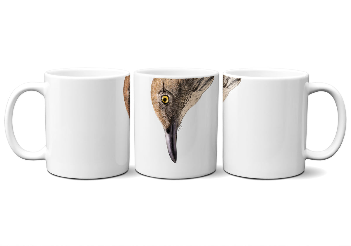 Brown Thrasher by Snout Mugs®