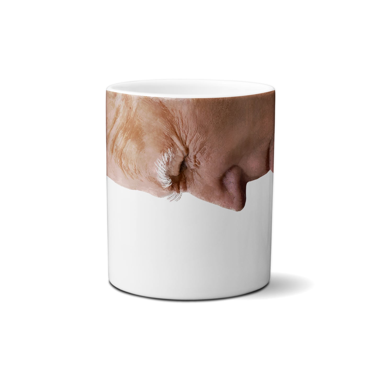 President Biden by Snout Mugs®