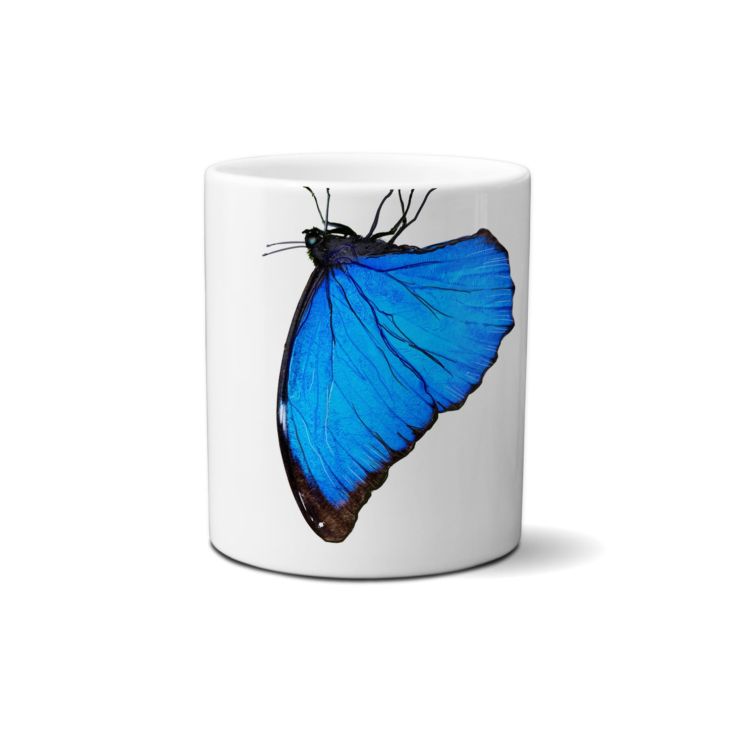 Menelaus Blue Morpho Butterfly by Snout Mugs®
