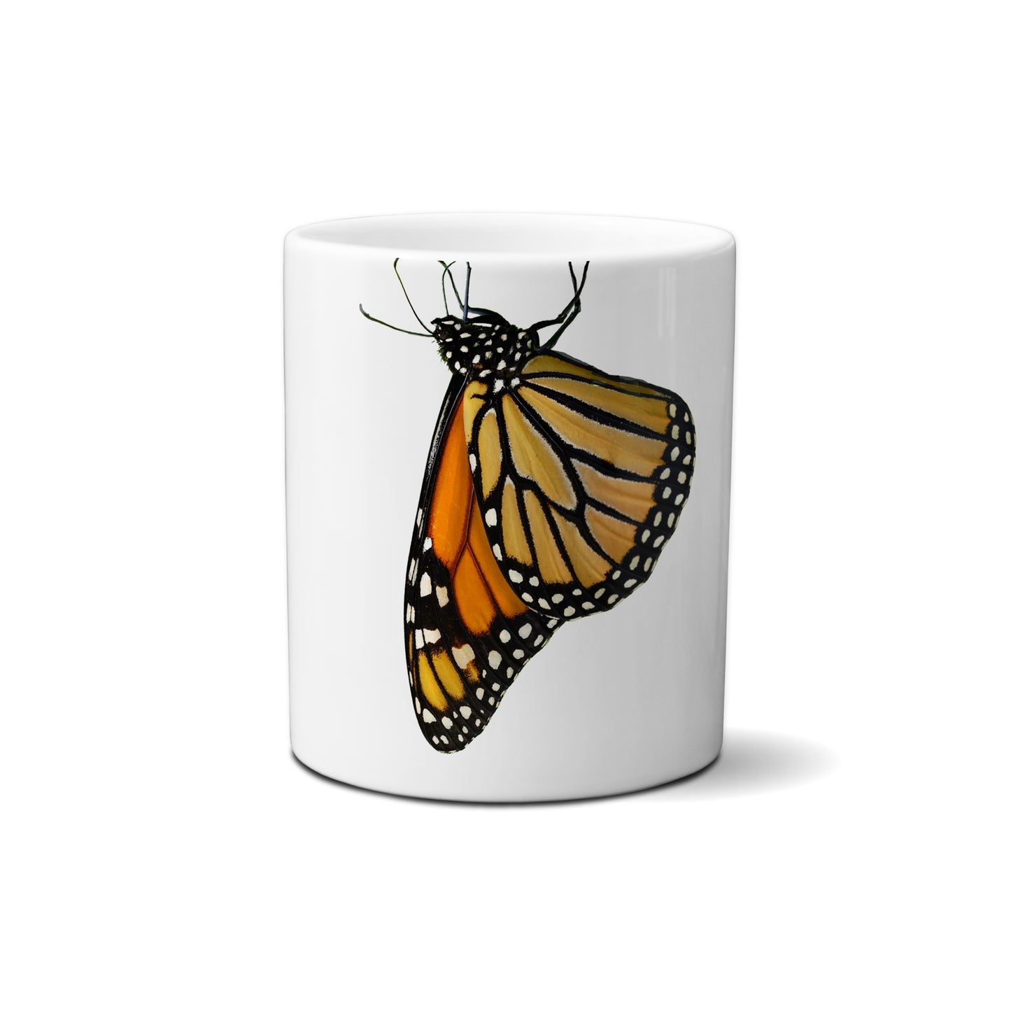 Monarch Butterfly by Snout Mugs®