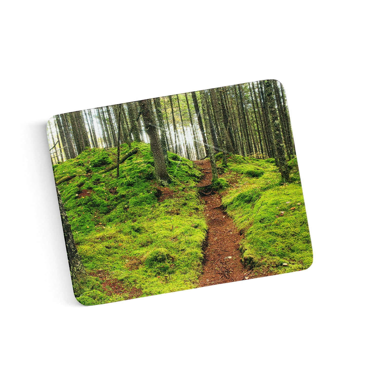 Pittsburg Fairytale Forest Cutting Board by Chris Whiton