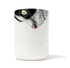 Cat Black - White Snout Mug