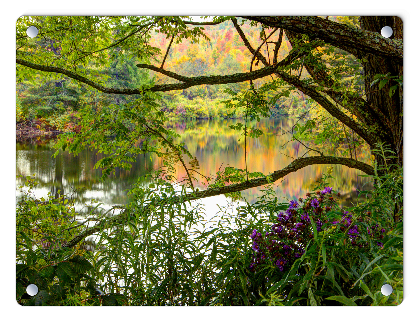 Coffin Pond Autumn Reflections Glass Panel by Chris Whiton