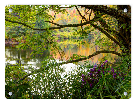 Coffin Pond Autumn Reflections Glass Panel by Chris Whiton