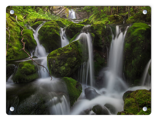 Mossy Falls Glass Panel by Chris Whiton