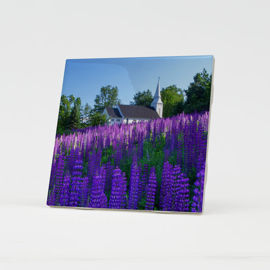 Lupine Church Ceramic Coaster by Chris Whiton