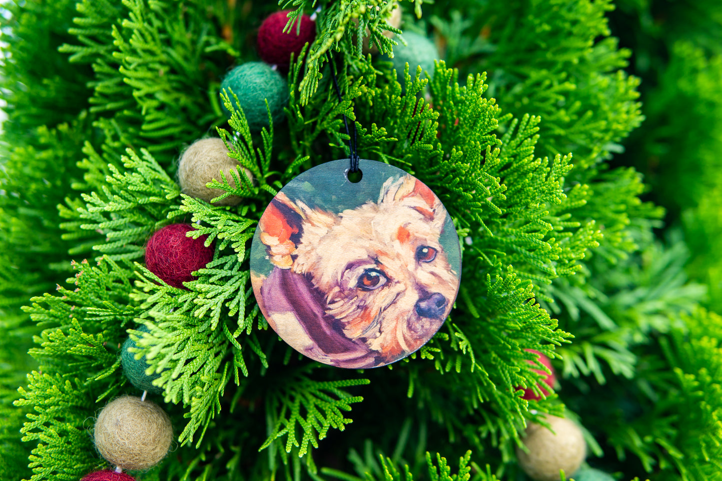 Silky Terrier Ornament By K. Huke