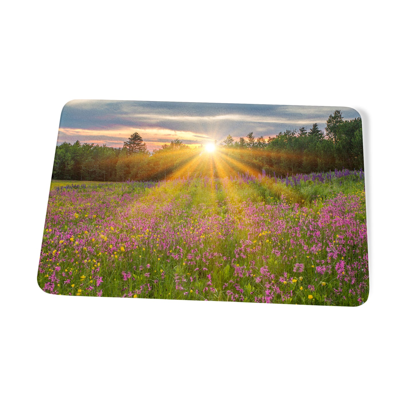 Wildflower Sunburst Cutting Board by Chris Whiton