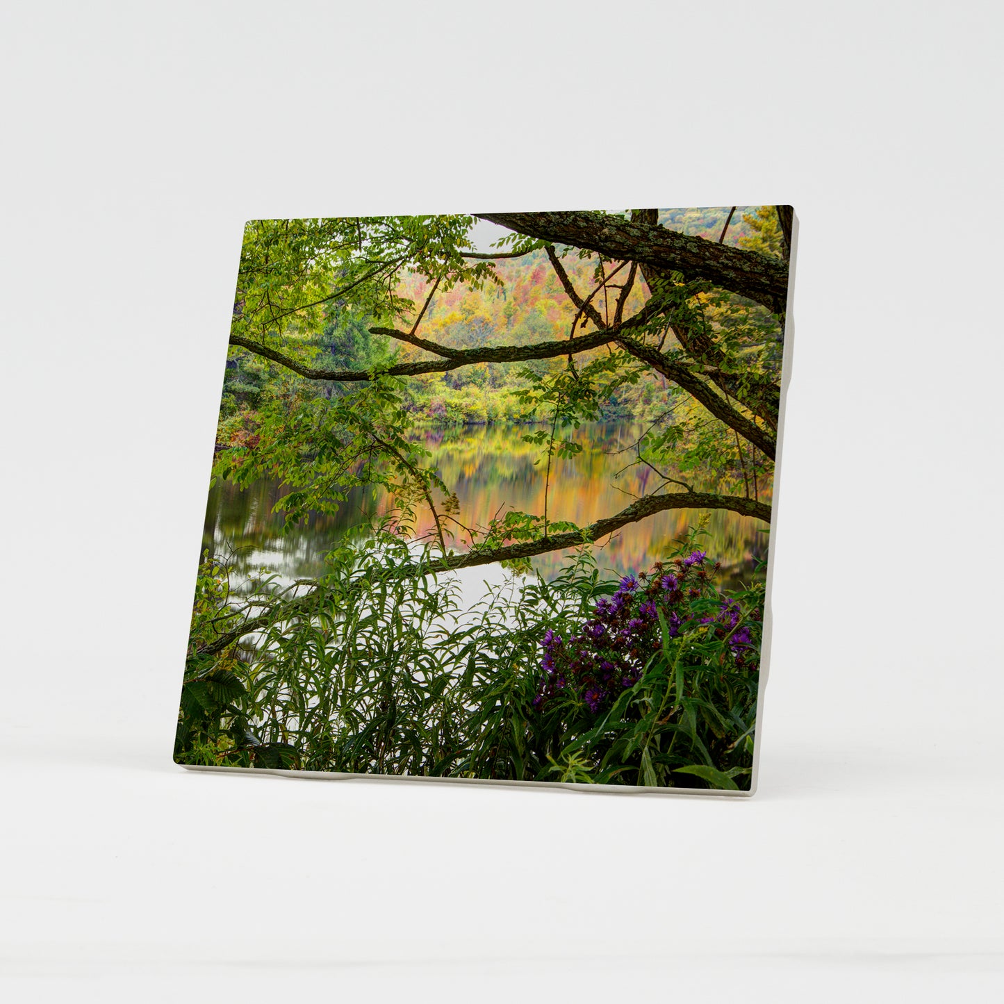 Coffin Pond Autumn Reflections Ceramic Coaster by Chris Whiton