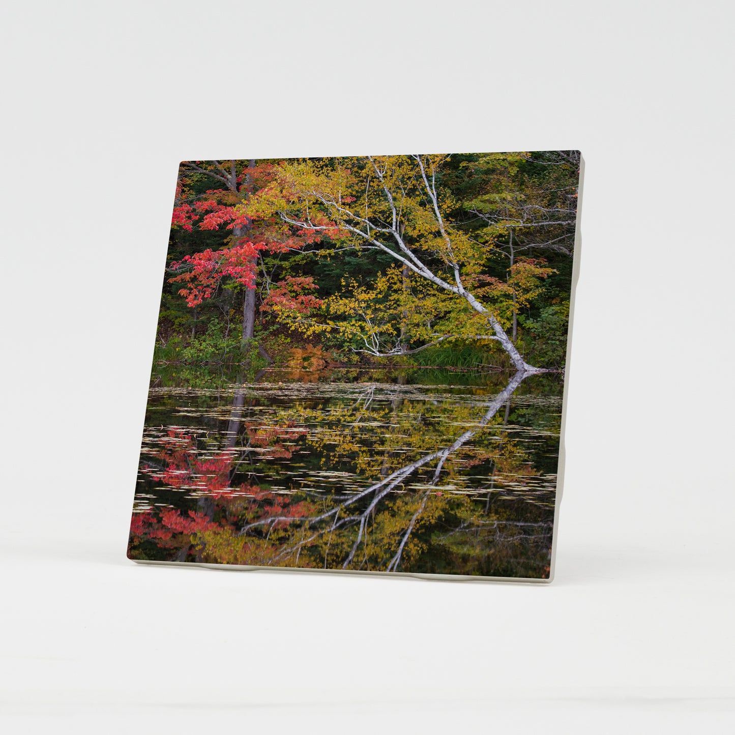 Fall Foliage Reflections Ceramic Coaster by Chris Whiton