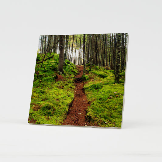 Pittsburg Fairytale Forest Ceramic Coaster by Chris Whiton