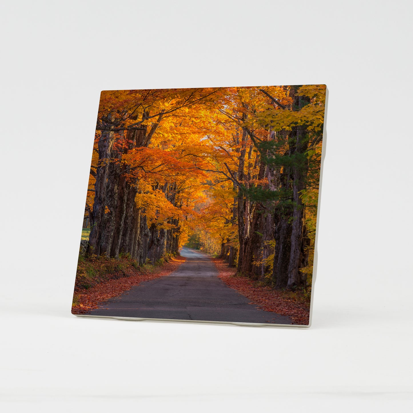 Sugar Hill Autumn Maple Road Ceramic Coaster by Chris Whiton