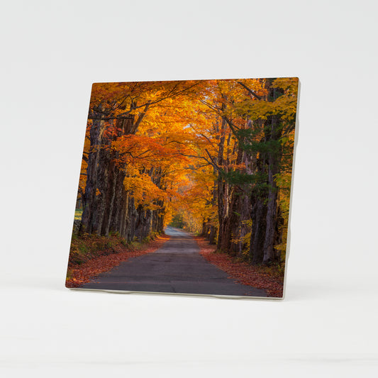 Sugar Hill Autumn Maple Road Ceramic Coaster by Chris Whiton