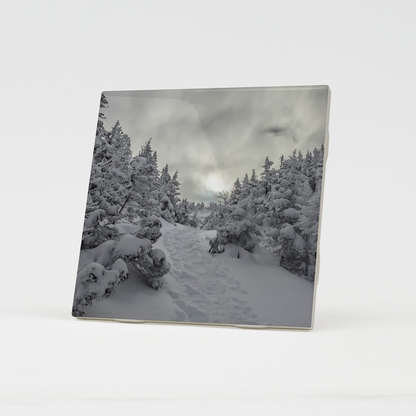 Winter on the Ammo Trail Ceramic Coaster by Chris Whiton