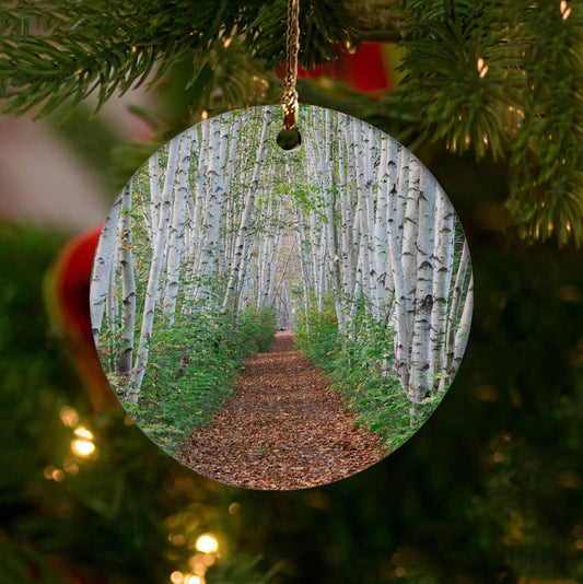 Birch Path Ornament by Chris Whiton