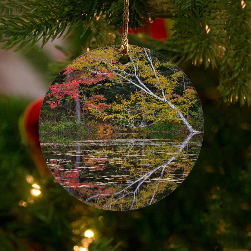 Fall Foliage Reflections Ornament by Chris Whiton