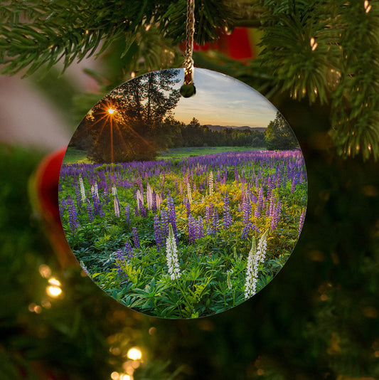 Lupine Field at Sunset Ornament by Chris Whiton