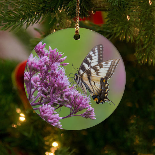 Spring Swallowtail Ornament by Chris Whiton
