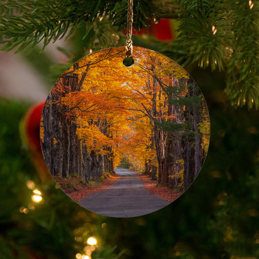 Sugar Hill Autumn Maple Road Ornament by Chris Whiton