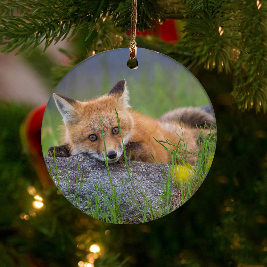 Sugar Hill Fox Resting Ornament by Chris Whiton