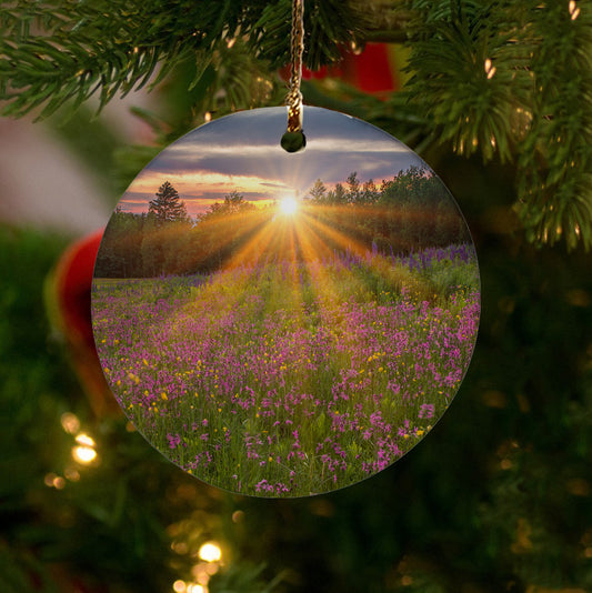 Wildflower Sunburst Ornament by Chris Whiton