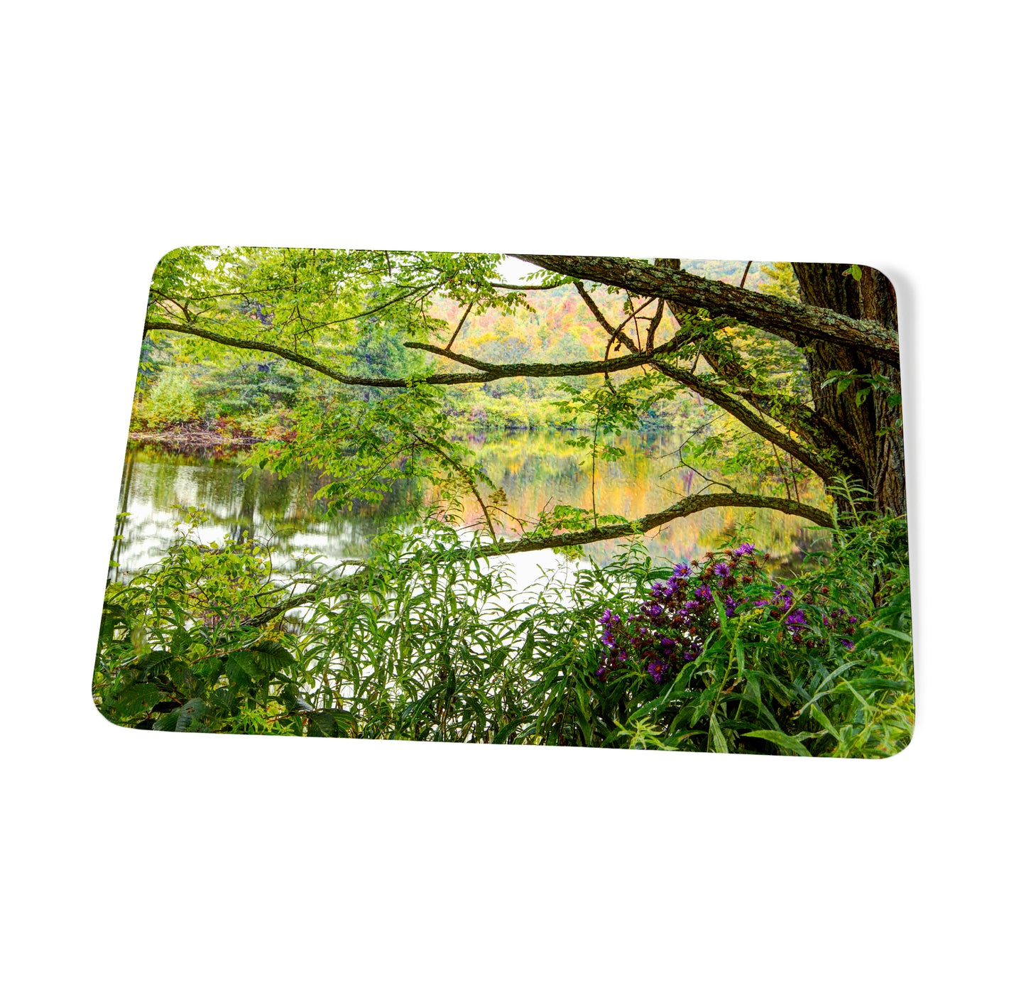 Coffin Pond Autumn Reflections Cutting Board by Chris Whiton