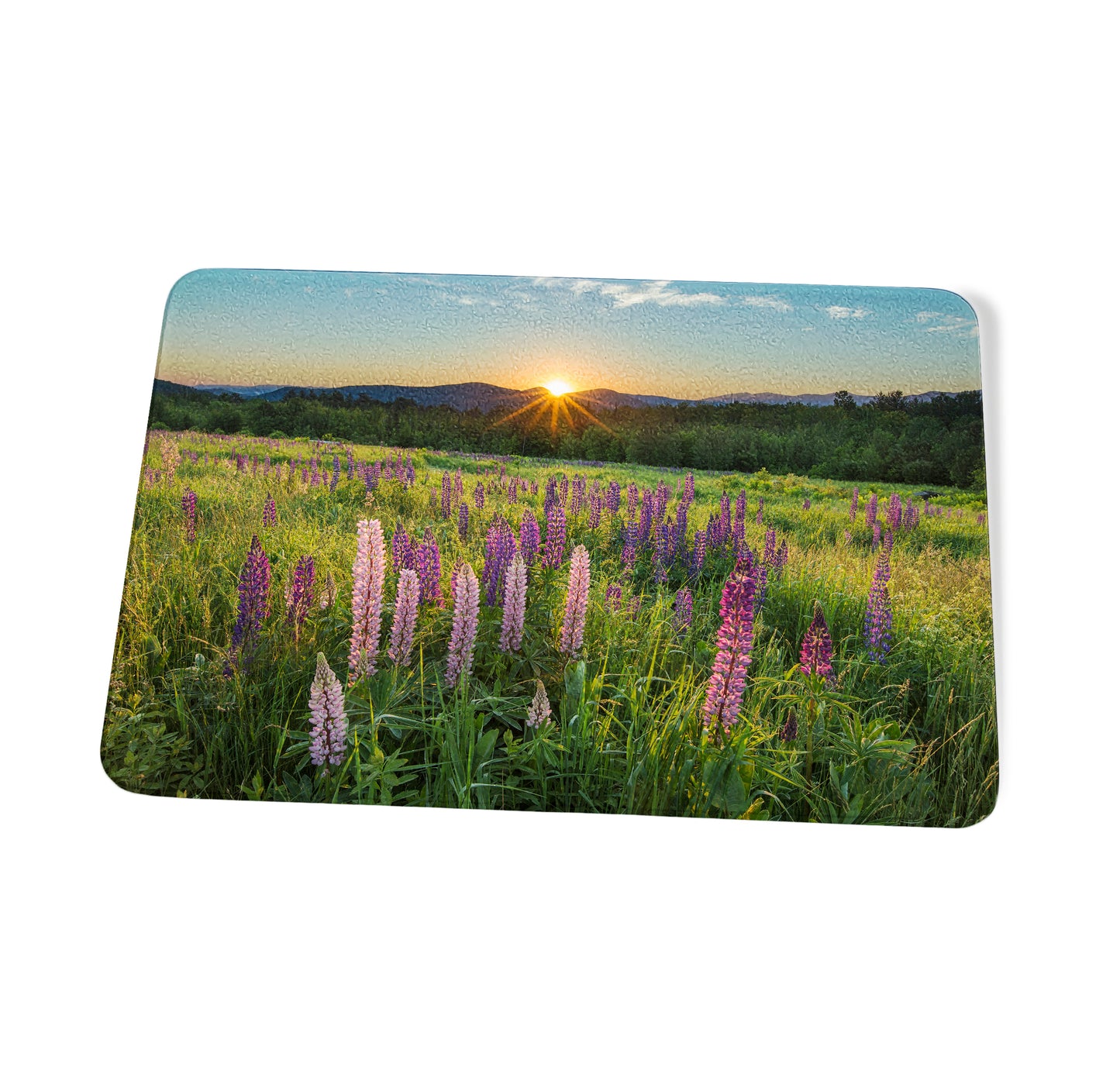 Lupine Sunrise Cutting Board by Chris Whiton