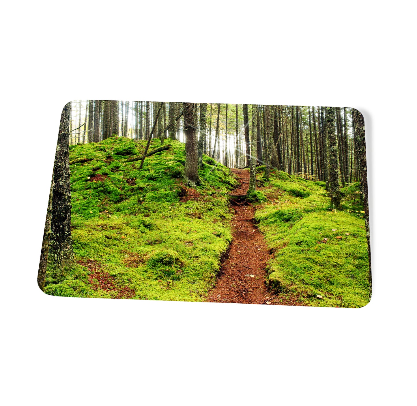 Pittsburg Fairytale Forest Cutting Board by Chris Whiton