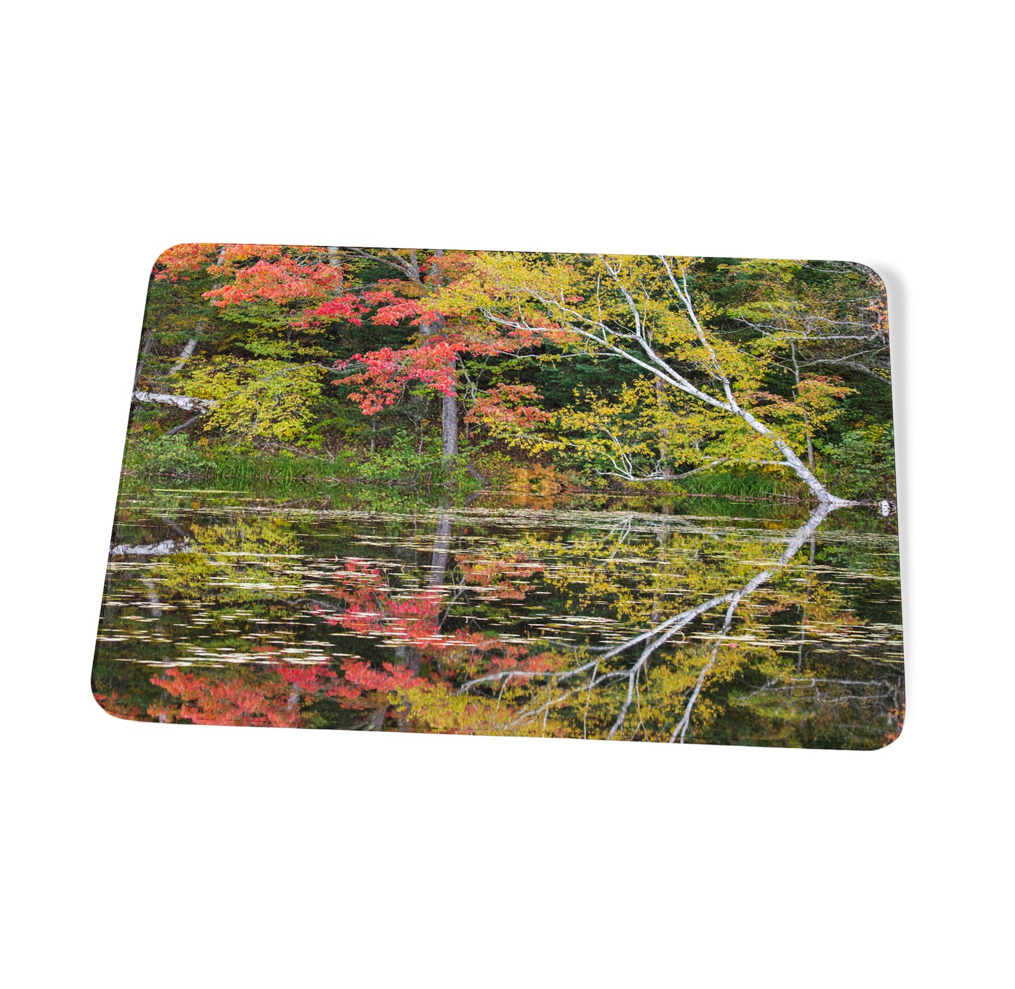Fall Foliage Reflections Cutting Board by Chris Whiton