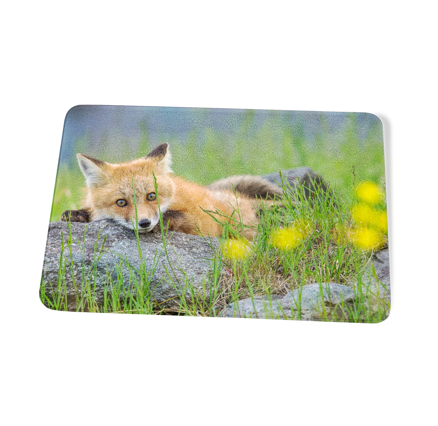 Sugar Hill Fox Resting Cutting Board by Chris Whiton