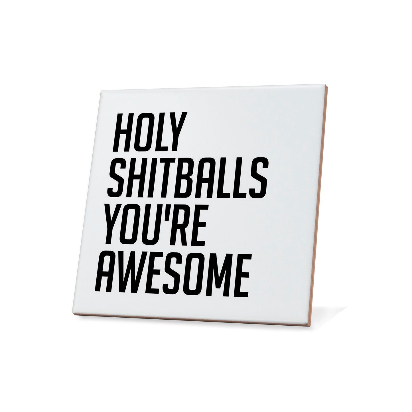 Holy Shitballs You're Awesome Quote Coaster