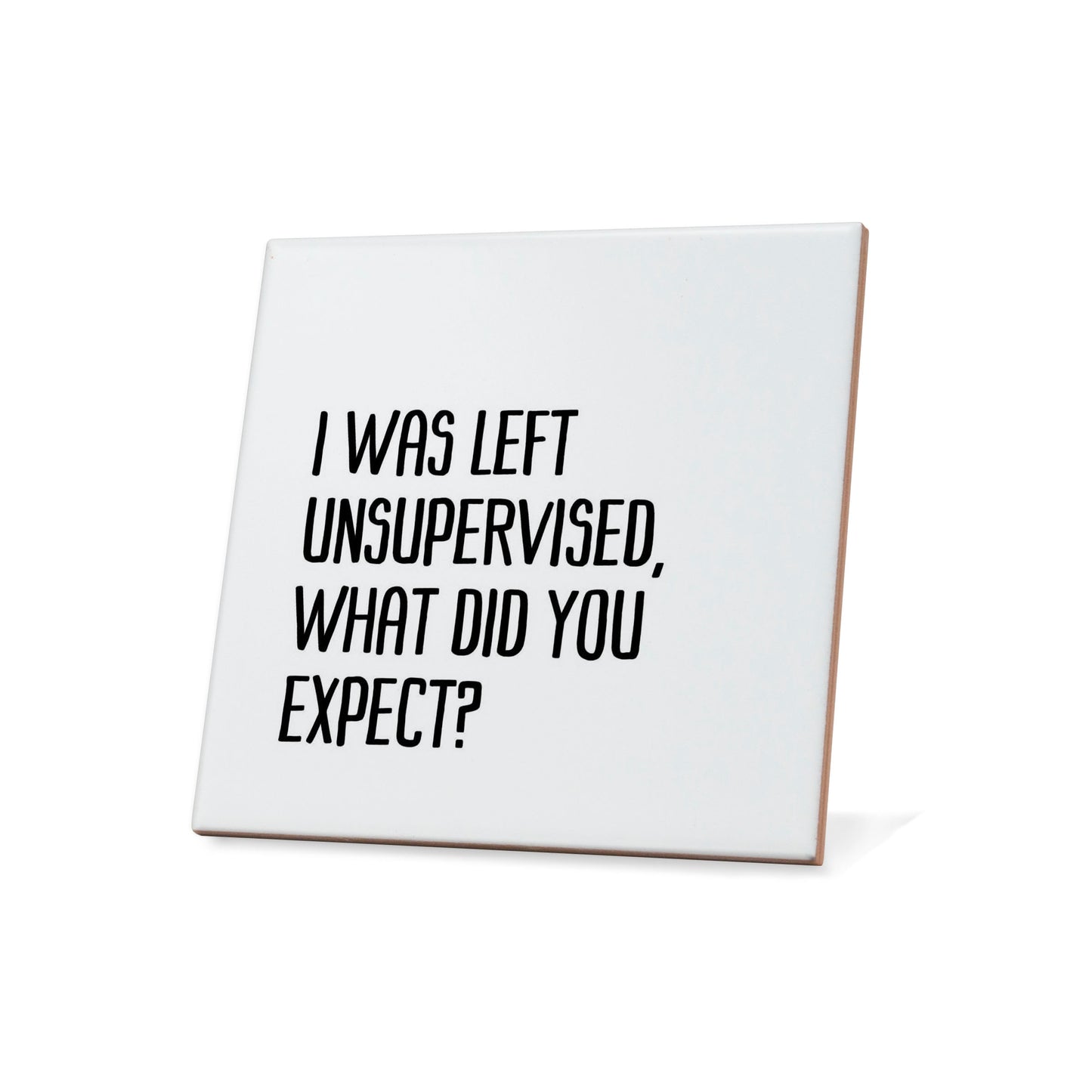 I was left unsupervised, what did you expect? Quote Coaster
