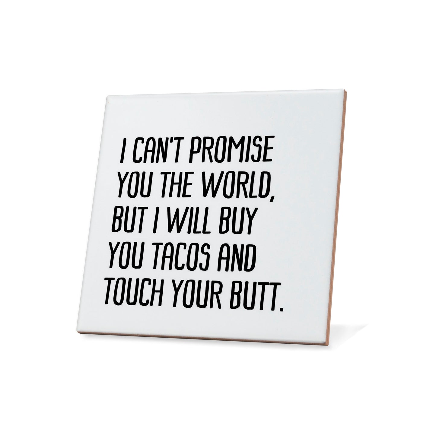 I can't promise you the world, but I will buy tacos and touch your butt. Quote Coaster