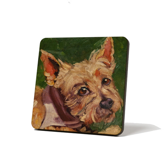 Silky Terrier Coaster by K. Huke