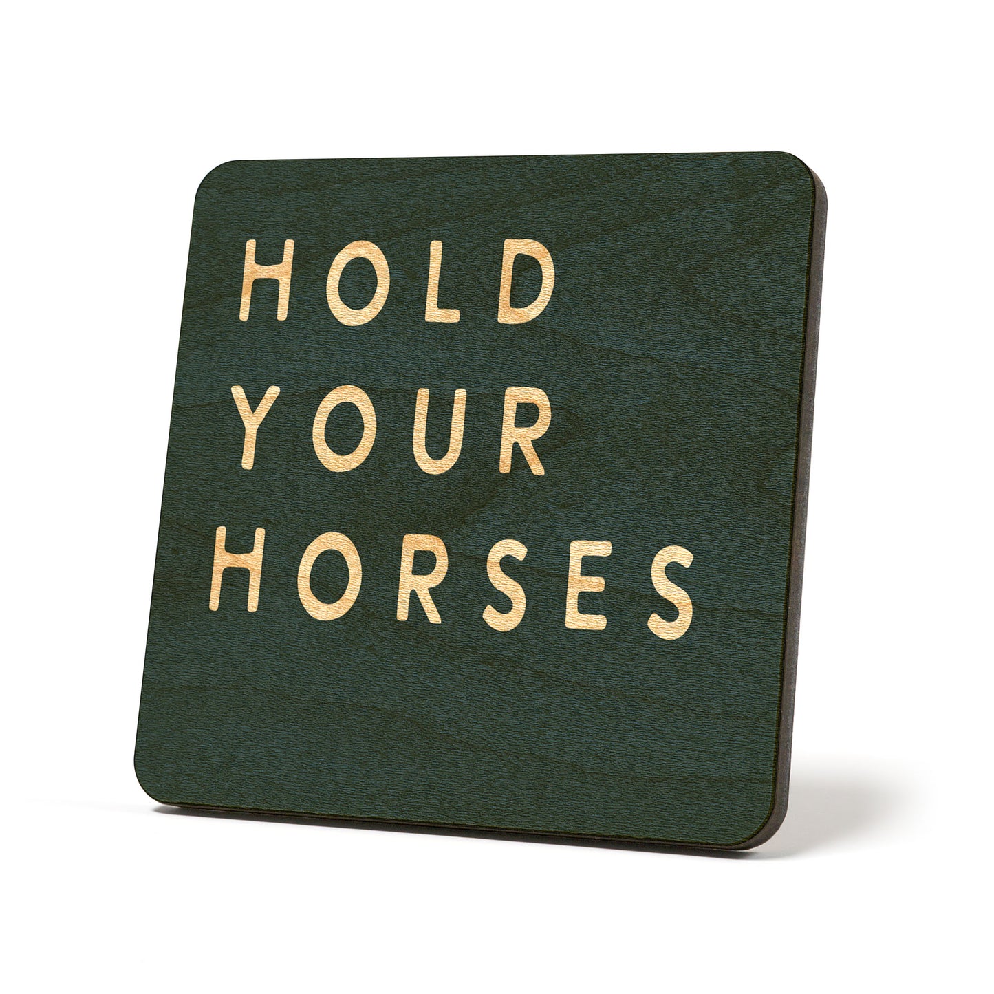 Colorblock Hold Your Horses Coaster